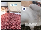 من قلب امريكا “أم البراء الخيرية” تروي قلوب الملايين بالخير في عيد الأضحى